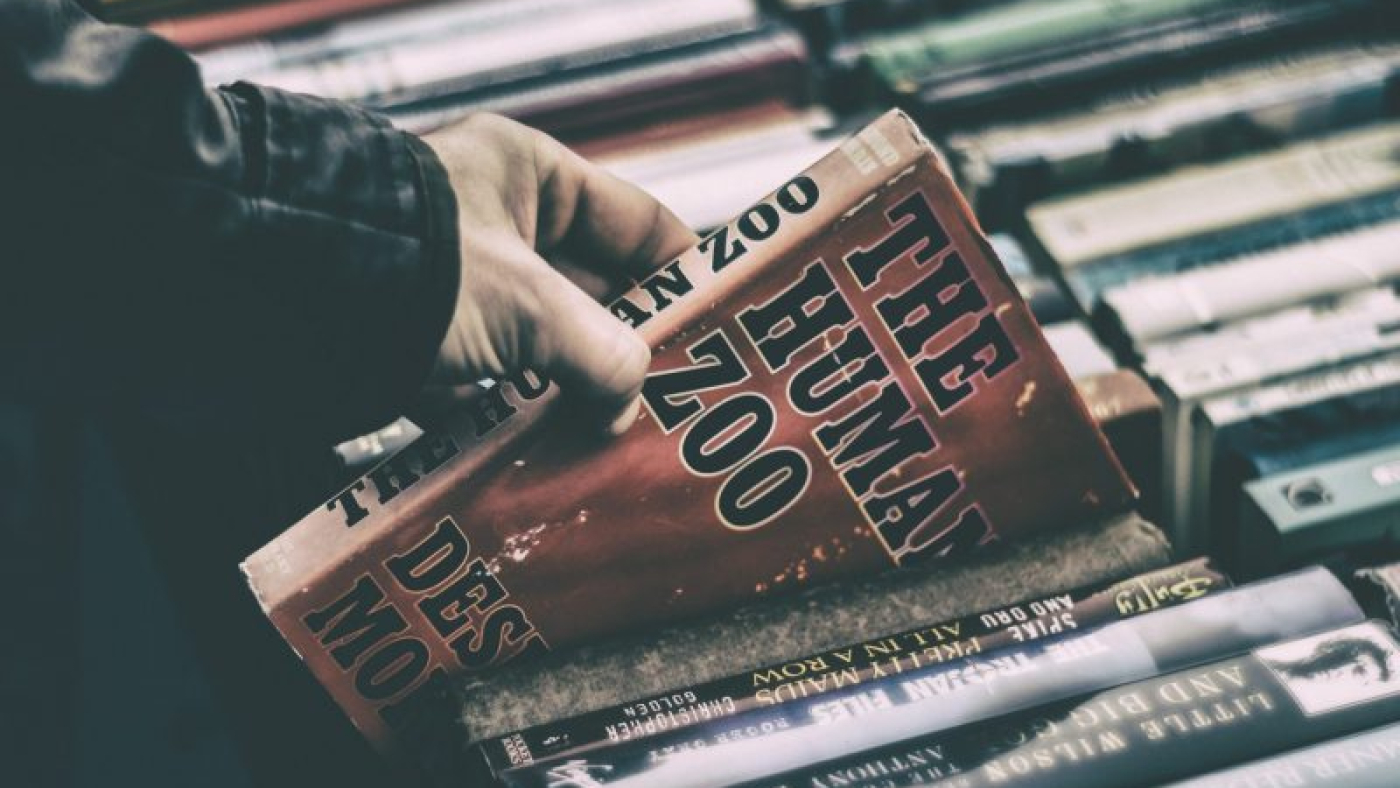 james-sutton-210337-unsplash