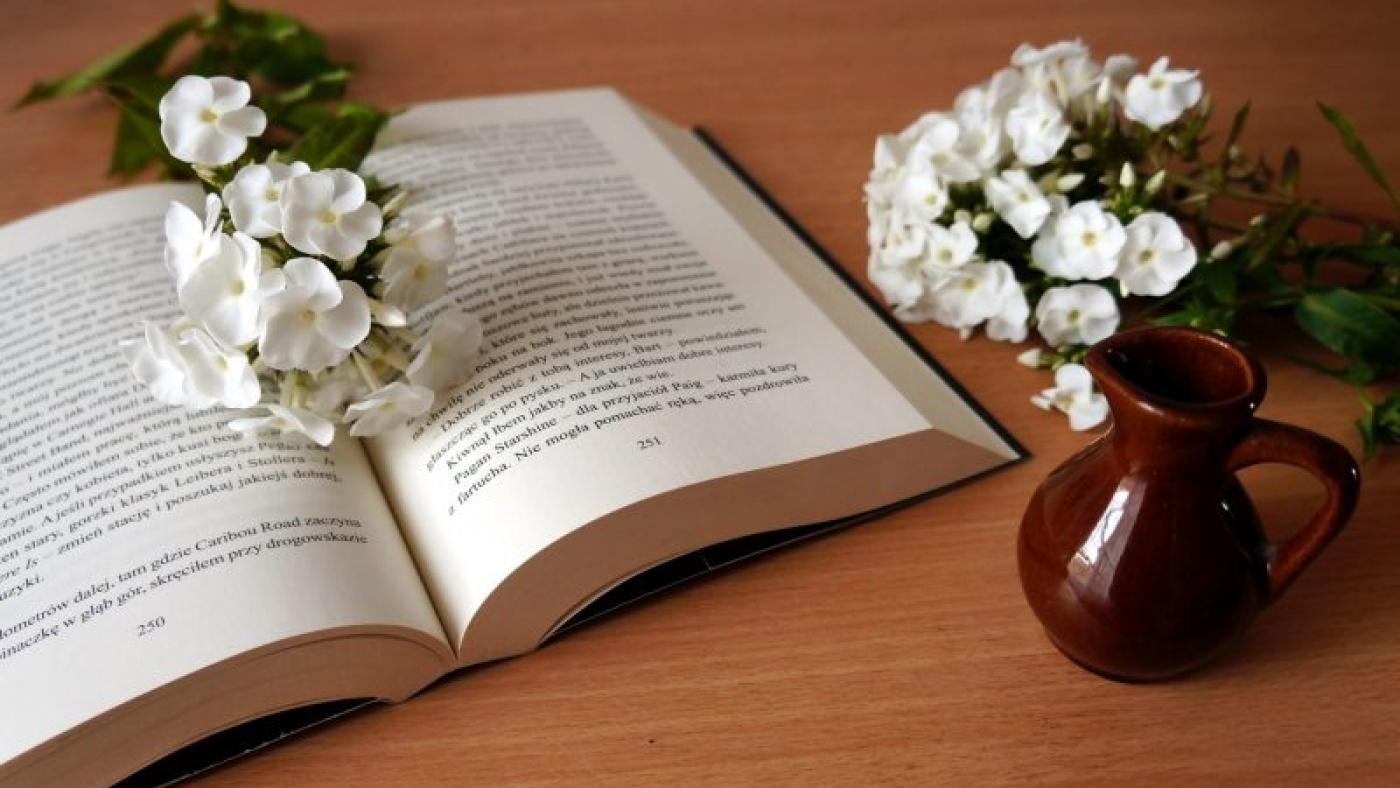 jug-book-phlox-white