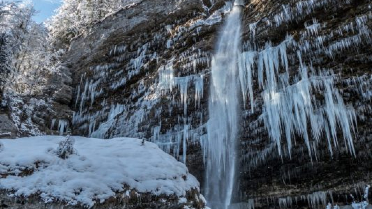 luka-vovk-1311079-unsplash