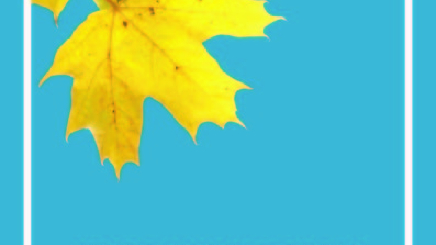 cover cahaya pilihan (1)