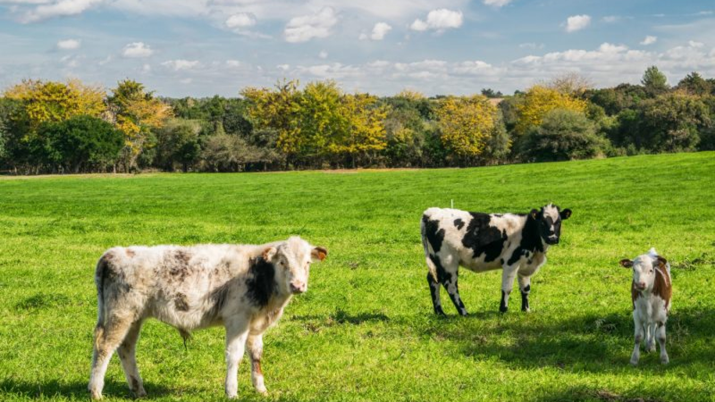 ernesto-velazquez-5gwqO_-j9SY-unsplash