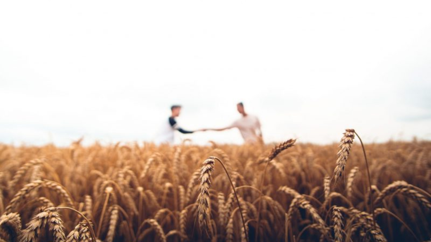 warren-wong-J33qmCVr02A-unsplash