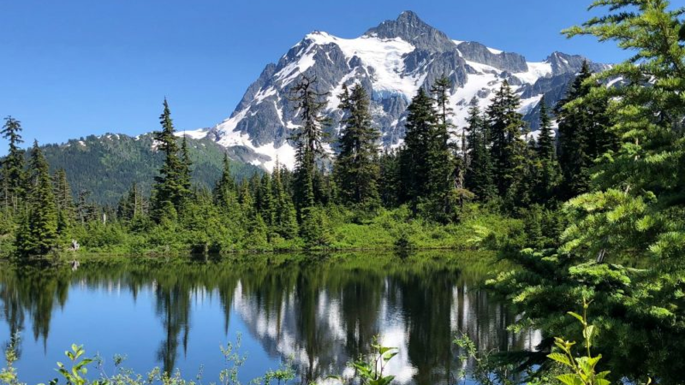 michael-denning-hbneTJ7EXqo-unsplash