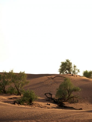 wolfgang-hasselmann-ThKD7gVXWvE-unsplash