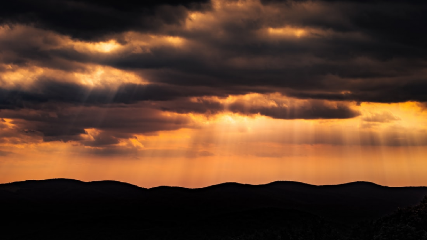 photo-1615716450567-de83e9246aab