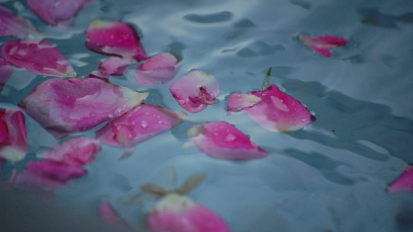 elly-johnson-0omE39JtUAQ-unsplash