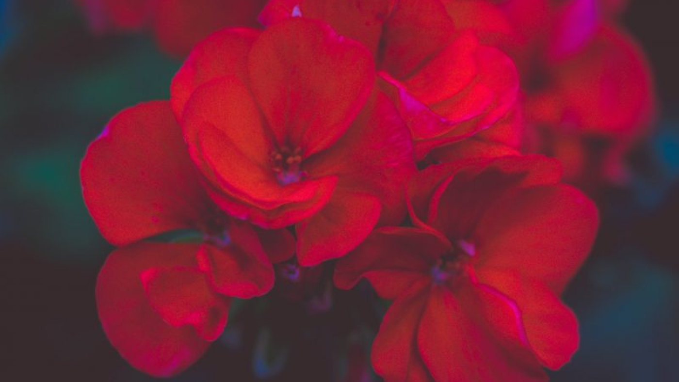 gabriel-gheorghe-qTi4VCx-dh0-unsplash