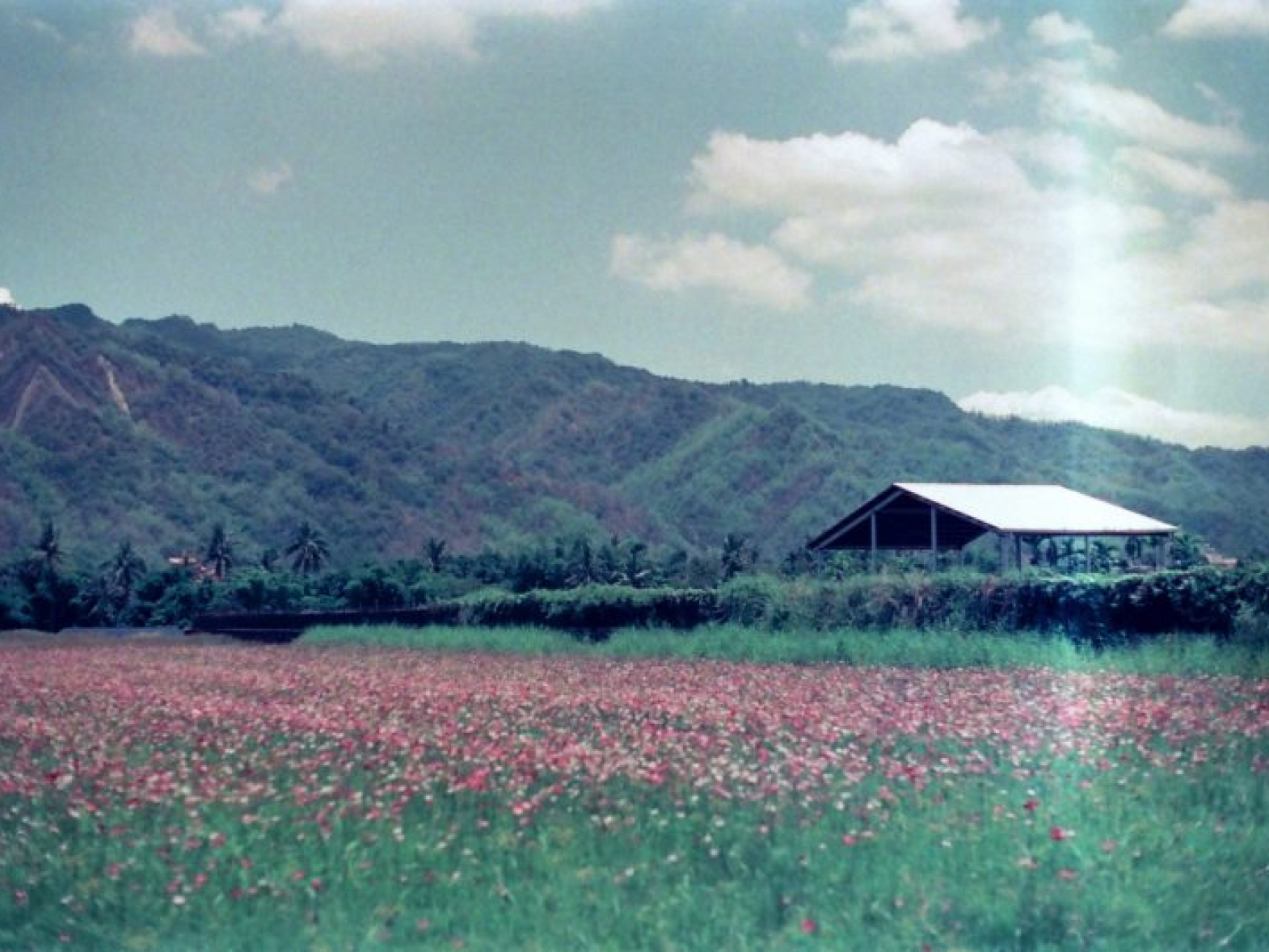 jisun-han-cl9KWGDf52E-unsplash