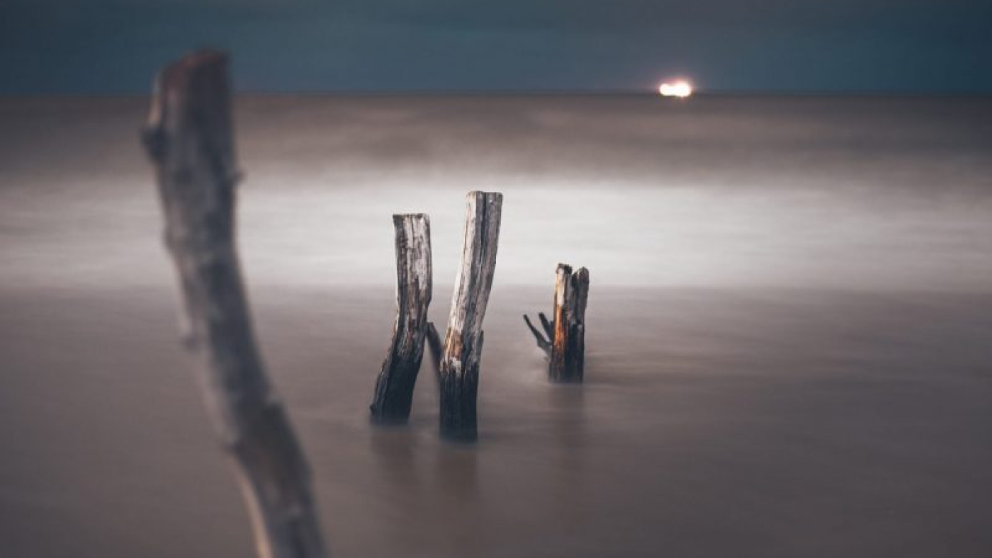 marek-piwnicki--7B7Vvk3KlQ-unsplash