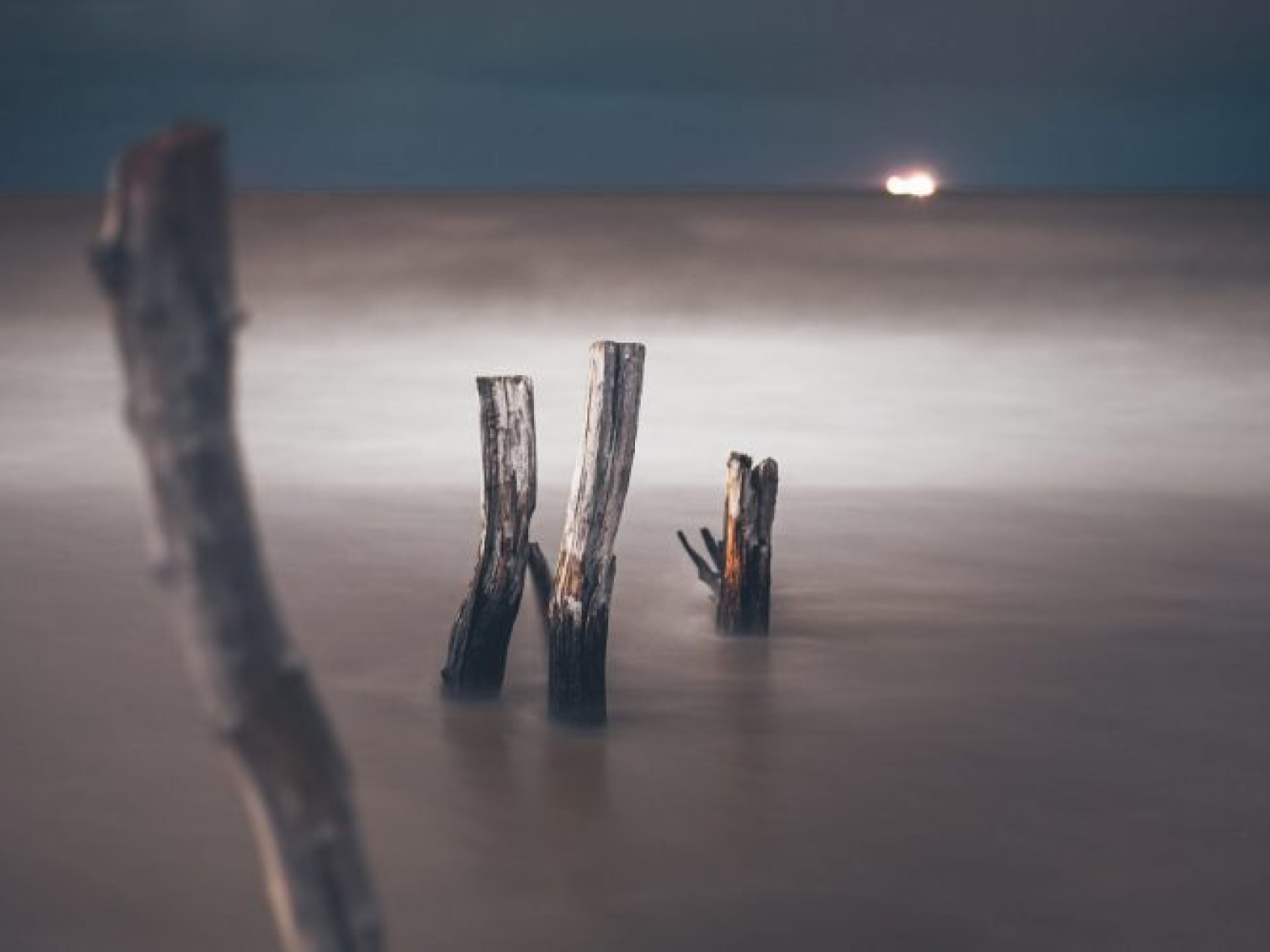 marek-piwnicki--7B7Vvk3KlQ-unsplash