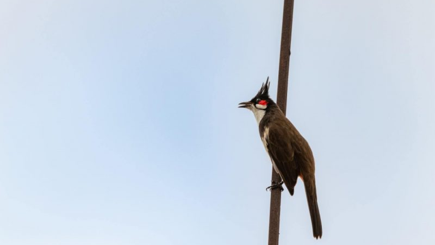 photo-1573887128210-844f9b4018ee