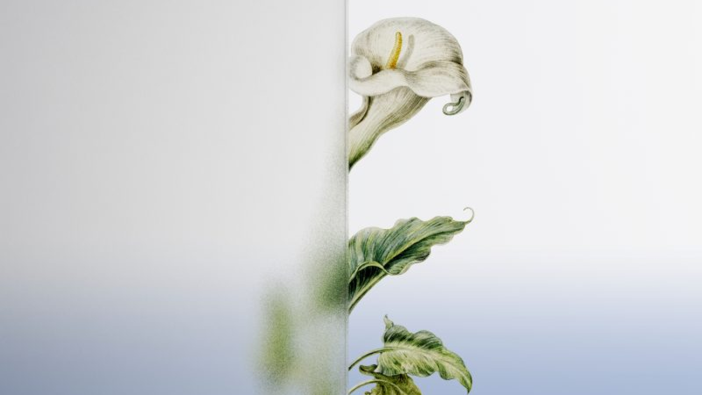 mengembangkandiri.com nature-background-with-flower-behind-patterned-gla-2021-12-09-17-48-43-utc