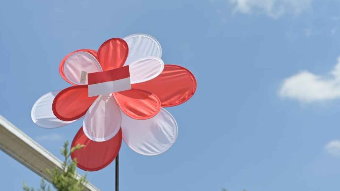 ochimax-studio-N5bKG8C93Uw-unsplash