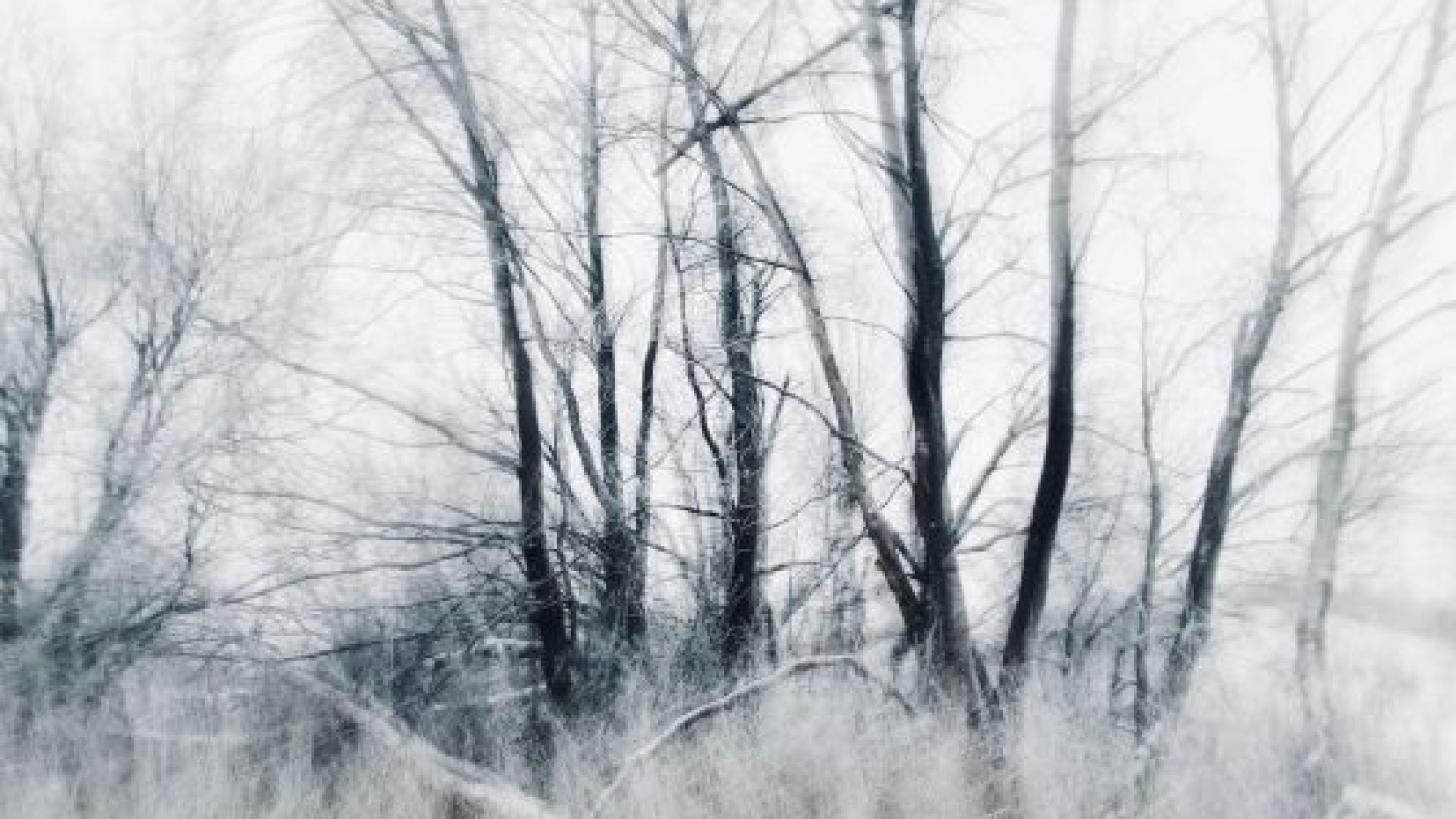 mengembangkandiri.com pexels-eugene-golovesov-14762148