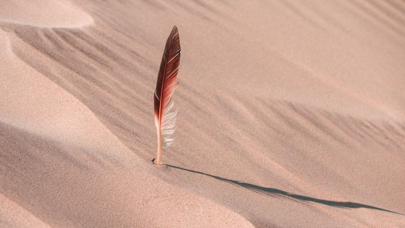 mengembangkandiri.com feather-g8127c7e69_1920