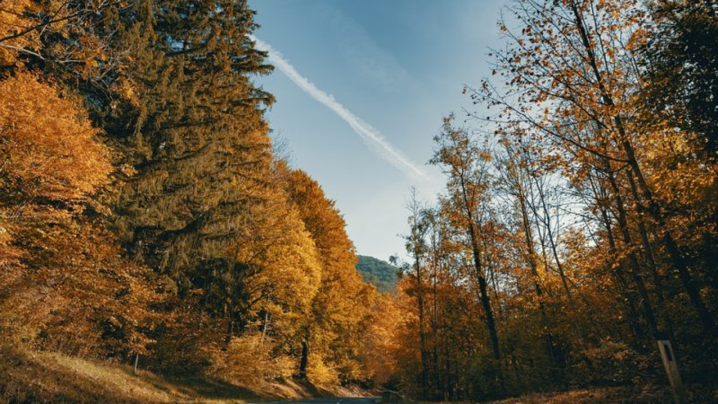 mengembangkandiri.com austria-7507345_960_720