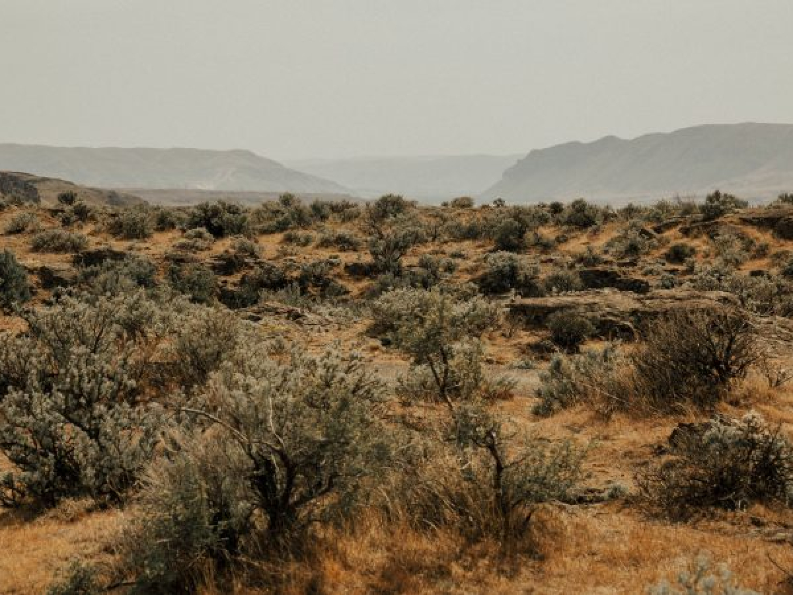 mengembangkandiri.com (5)