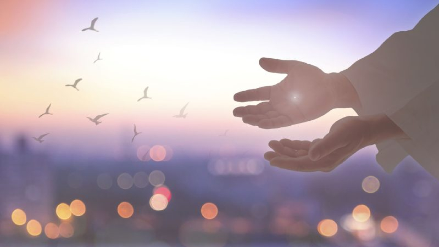 Başkalarına hayat vermek için yaşayın (3)