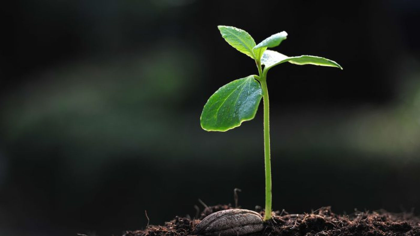 mengembangkandiri.com (14)