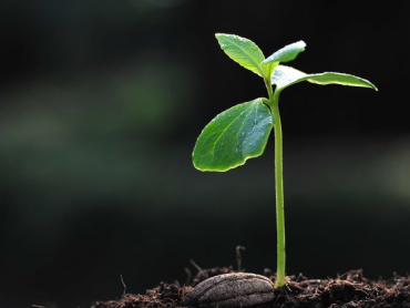 mengembangkandiri.com (14)