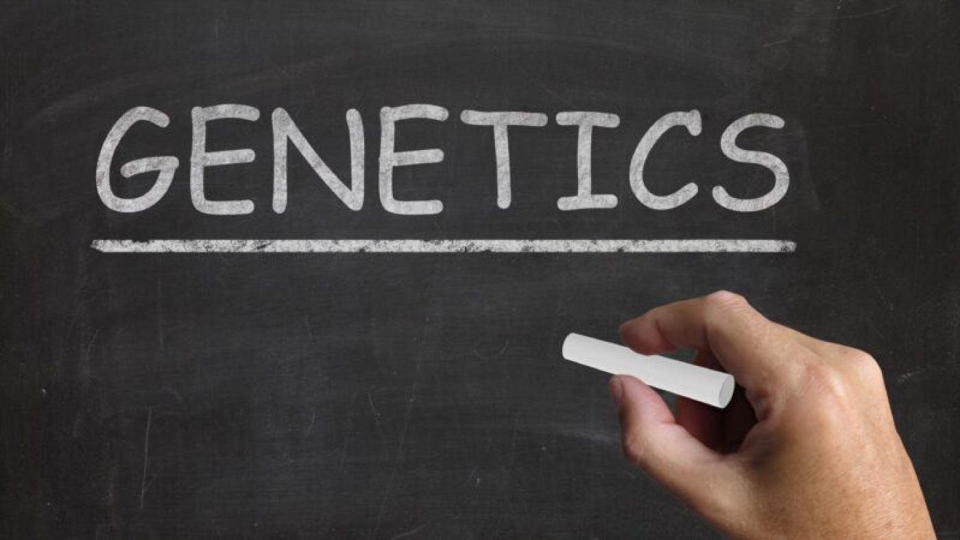 mengembangkandiri.com