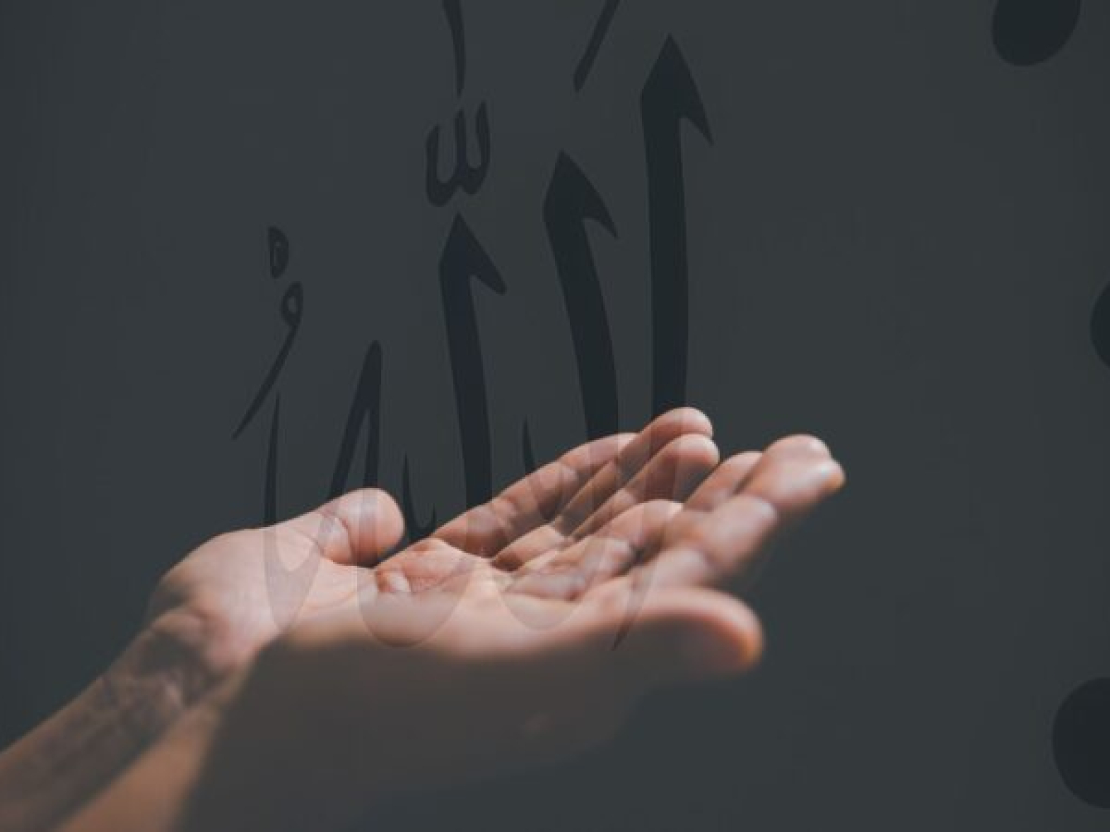 mengembangkandiri.com (19)